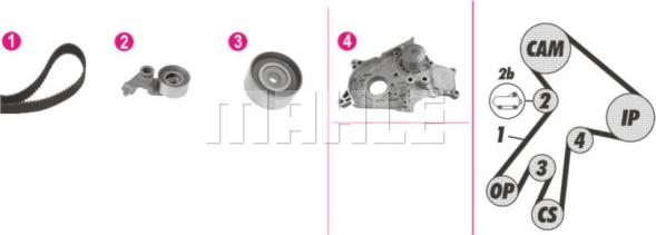 Wilmink Group WG2182116 - Водяной насос + комплект зубчатого ремня ГРМ autospares.lv