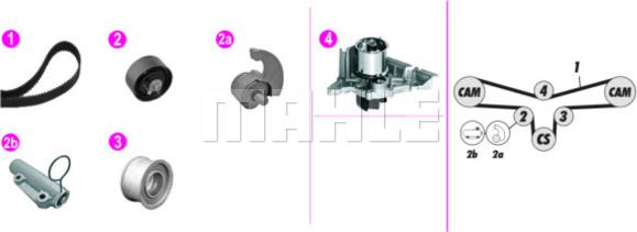 Wilmink Group WG2182135 - Водяной насос + комплект зубчатого ремня ГРМ autospares.lv