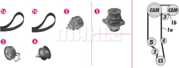 Wilmink Group WG2182125 - Водяной насос + комплект зубчатого ремня ГРМ autospares.lv