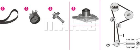 Wilmink Group WG2182121 - Водяной насос + комплект зубчатого ремня ГРМ autospares.lv