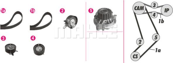 Wilmink Group WG2182176 - Водяной насос + комплект зубчатого ремня ГРМ autospares.lv