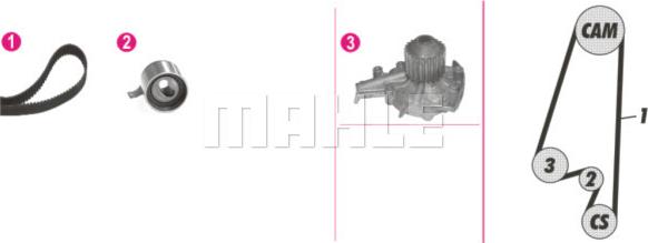 Wilmink Group WG2182200 - Водяной насос + комплект зубчатого ремня ГРМ autospares.lv