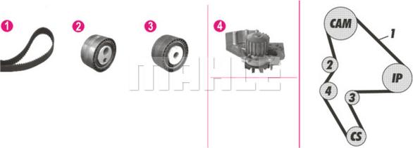 Wilmink Group WG2182211 - Водяной насос + комплект зубчатого ремня ГРМ autospares.lv