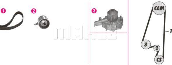 Wilmink Group WG2182231 - Водяной насос + комплект зубчатого ремня ГРМ autospares.lv