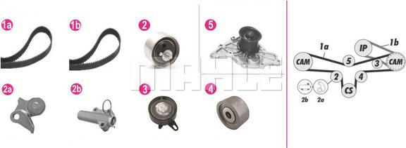 Wilmink Group WG2182221 - Водяной насос + комплект зубчатого ремня ГРМ autospares.lv