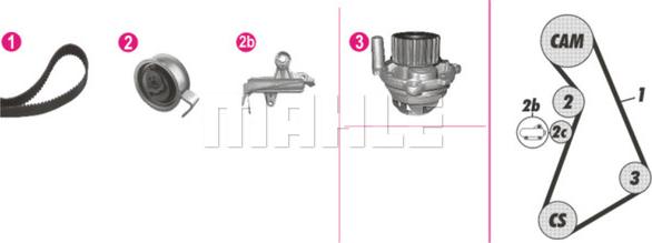 Wilmink Group WG2182227 - Водяной насос + комплект зубчатого ремня ГРМ autospares.lv