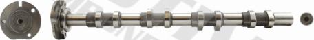 Wilmink Group WG2128163 - Распредвал autospares.lv