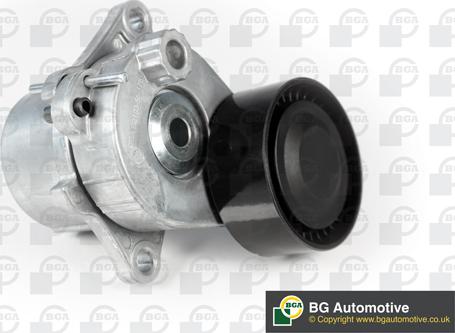 Wilmink Group WG2179519 - Ролик, поликлиновый ремень autospares.lv