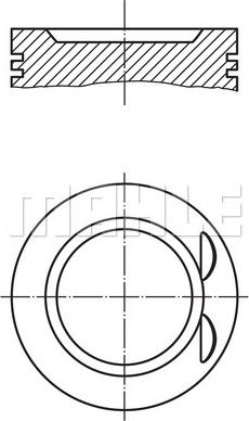 Wilmink Group WG2179638 - Поршень autospares.lv