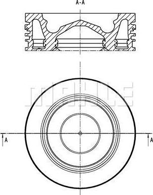 Wilmink Group WG2201294 - Поршень autospares.lv