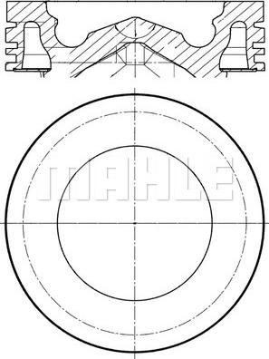 Wilmink Group WG2201292 - Поршень autospares.lv