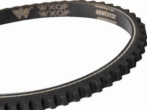 WXQP 10699 - Клиновой ремень, поперечные рёбра autospares.lv