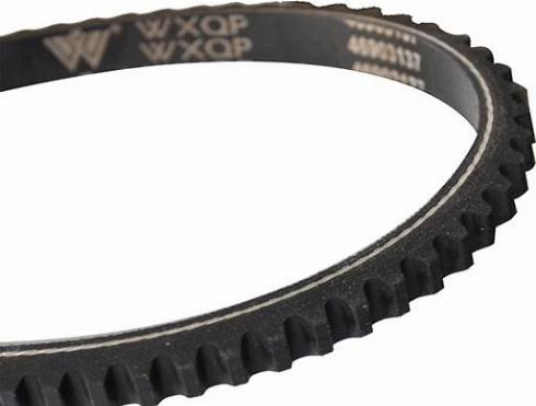 WXQP 10750 - Клиновой ремень, поперечные рёбра autospares.lv