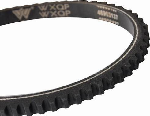 WXQP 10751 - Клиновой ремень, поперечные рёбра autospares.lv