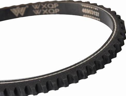 WXQP 10709 - Клиновой ремень, поперечные рёбра autospares.lv