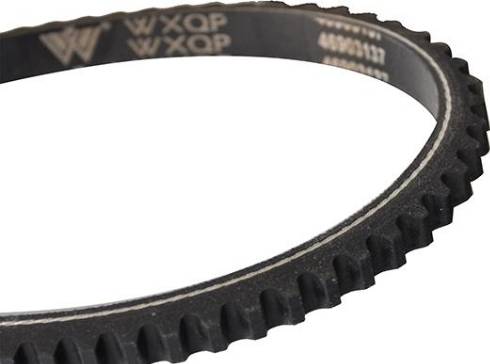 WXQP 10700 - Клиновой ремень, поперечные рёбра autospares.lv