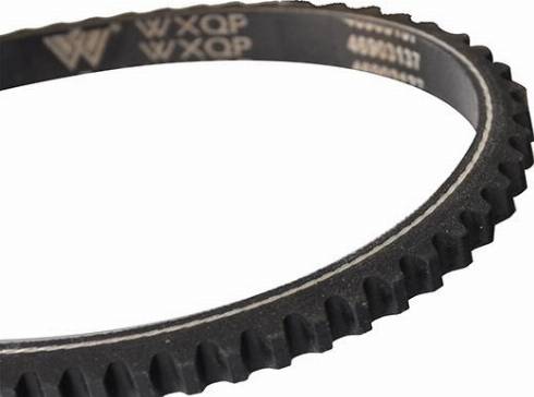 WXQP 10701 - Клиновой ремень, поперечные рёбра autospares.lv