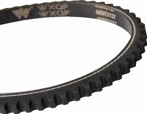 WXQP 10734 - Клиновой ремень, поперечные рёбра autospares.lv