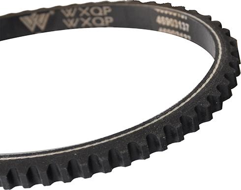 WXQP 10729 - Клиновой ремень, поперечные рёбра autospares.lv