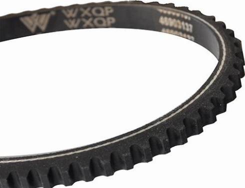 WXQP 10724 - Клиновой ремень, поперечные рёбра autospares.lv
