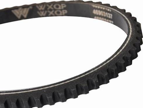 WXQP 10726 - Клиновой ремень, поперечные рёбра autospares.lv