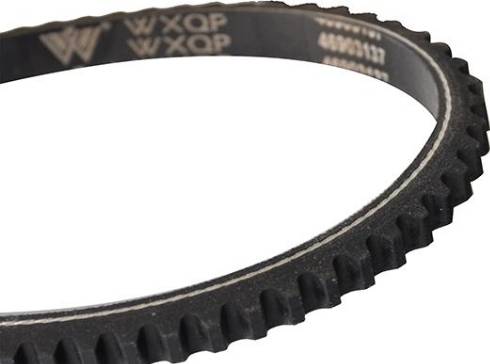 WXQP 10720 - Клиновой ремень, поперечные рёбра autospares.lv