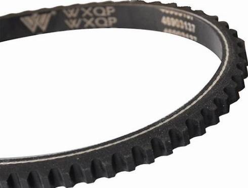 WXQP 10721 - Клиновой ремень, поперечные рёбра autospares.lv