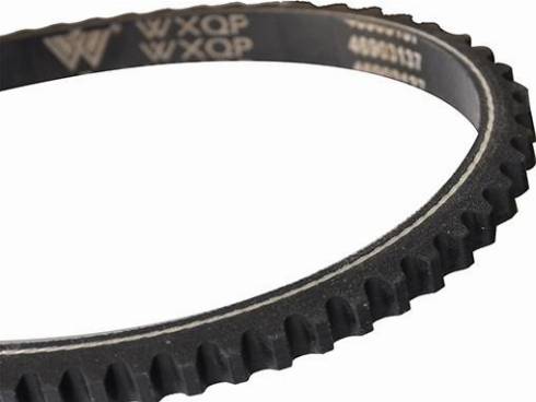 WXQP 10725 - Клиновой ремень, поперечные рёбра autospares.lv