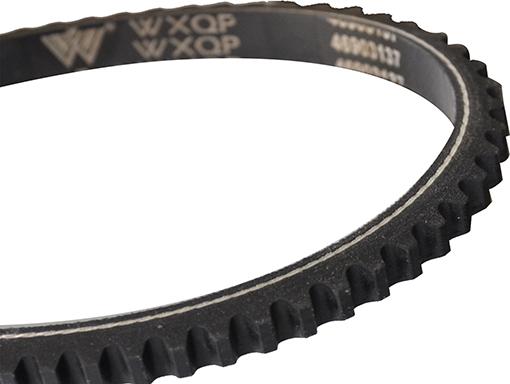 WXQP 10722 - Комплект клинового ремня autospares.lv