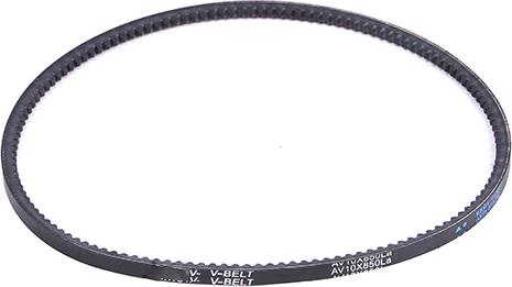 WXQP 314017 - Клиновой ремень, поперечные рёбра autospares.lv