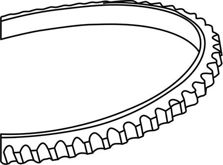 WXQP 310999 - Клиновой ремень, поперечные рёбра autospares.lv