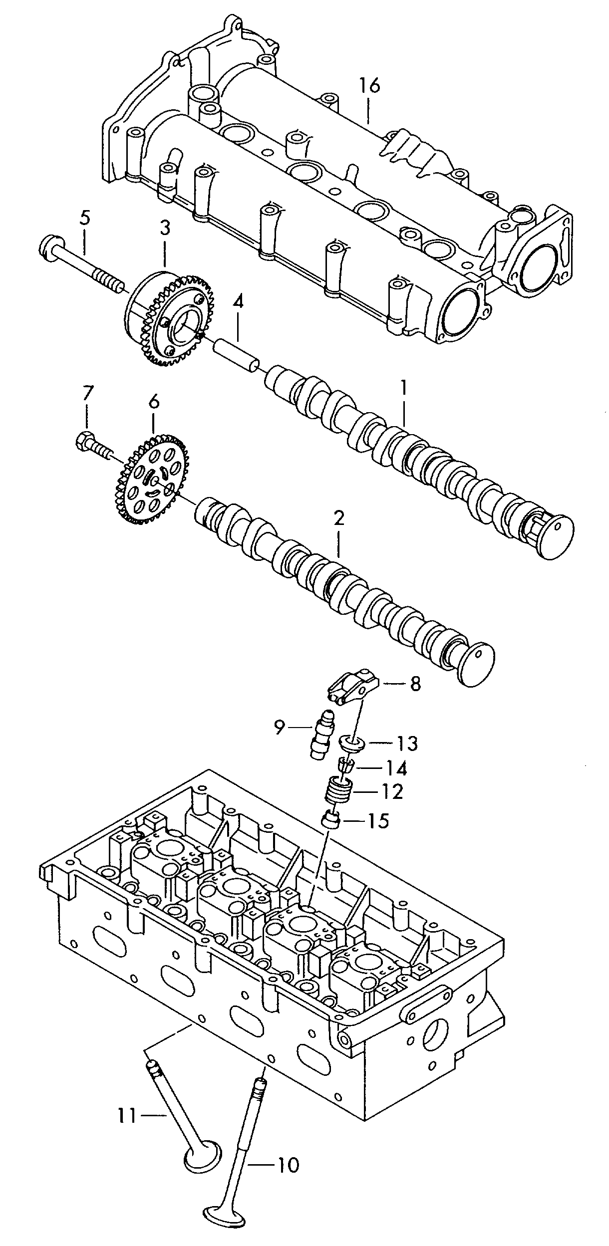 Seat 03C109571B - Комплект цепи привода распредвала autospares.lv